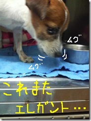 今日カズ081104　7