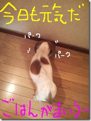 今日カズ081105　1