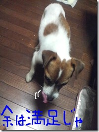 今日カズ081105 2