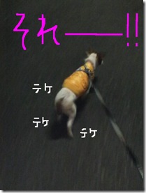 今日カズ081105 4
