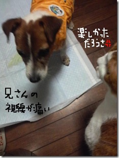 今日カズ081105 6