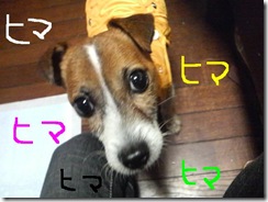 今日カズ081105 7