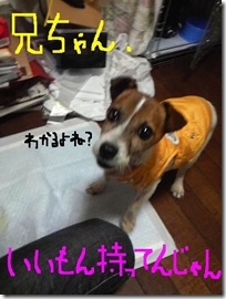 今日カズ081105 8