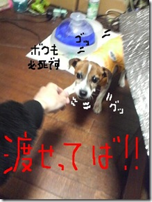 今日カズ081105 9