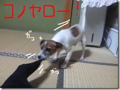 今日カズ081106　1