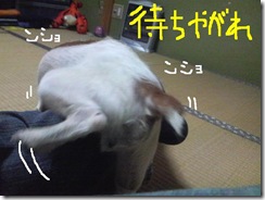今日カズ081106　2
