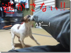 今日カズ081106　5