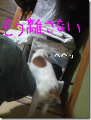 今日カズ081106　7