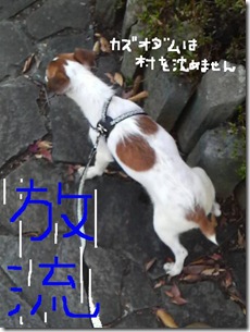 今日カズ081108　3