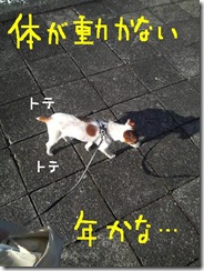 今日カズ081108　4
