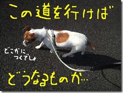 今日カズ081108　6
