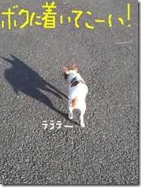 今日カズ081108　8