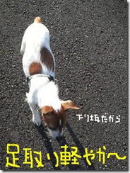 今日カズ081108　9