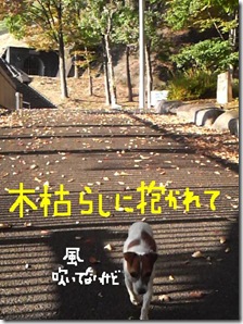 今日カズ081108　12