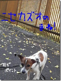 今日カズ081108　14