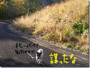今日カズ081108　16
