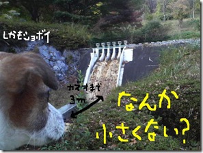 今日カズ081108　17