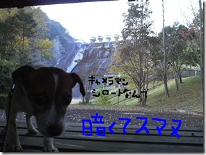 今日カズ081108　19