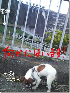 今日カズ081108　20