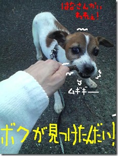 今日カズ081108　21