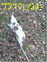 今日カズ081108　23