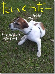 今日カズ081108　26