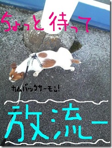 今日カズ081108　28