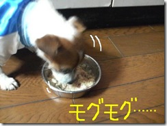 今日カズ081109　1