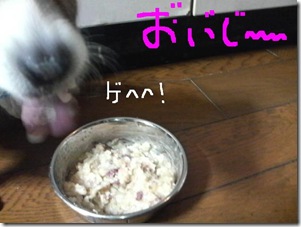 今日カズ081109　2