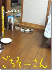 今日カズ081109　3