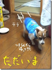 今日カズ081109　4