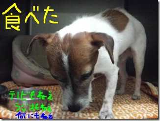 今日カズ081111　3