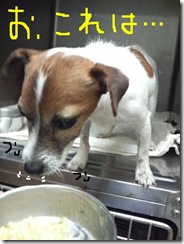 今日カズ081111　4