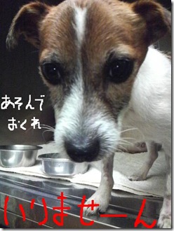 今日カズ081111　5