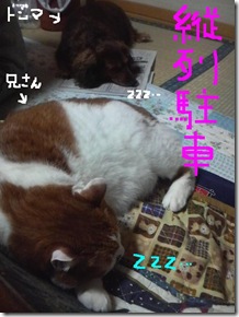 今日カズ081112　1