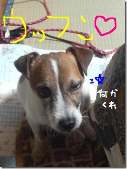 今日カズ081112　2