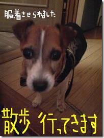 今日カズ081112　3