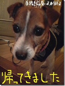 今日カズ081112　4