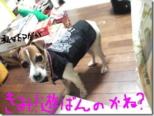 今日カズ081112　6