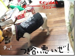 今日カズ081112　7