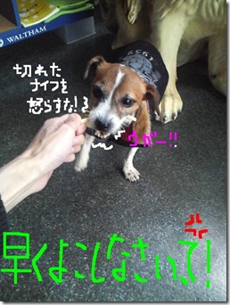 今日カズ081112　8