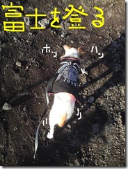 今日カズ081114　4