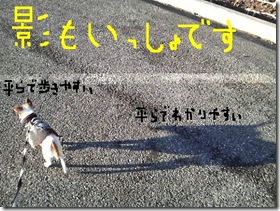今日カズ081114　9
