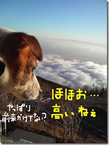 今日カズ081114　13