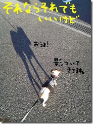 今日カズ081114　14