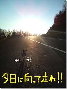 今日カズ081114　16