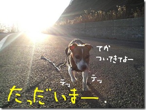 今日カズ081114　17