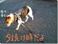 今日カズ081114　19