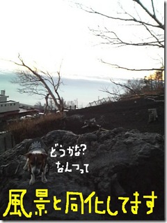 今日カズ081114　22