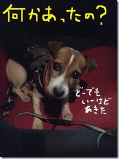 今日カズ081114　25